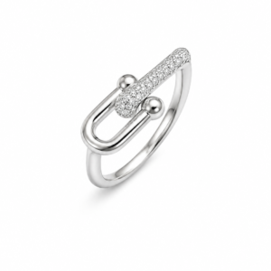 Horseshoe Silver Ring